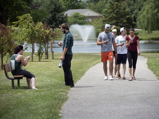 Pokemon Go Players in Bellevue Washington Park